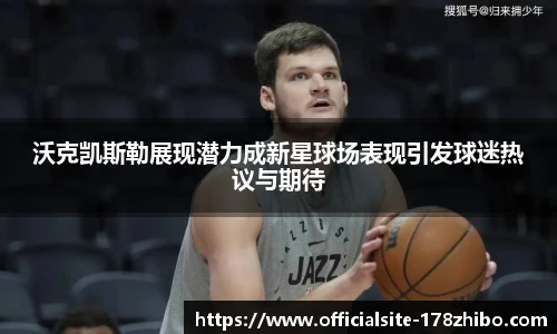 178体育
